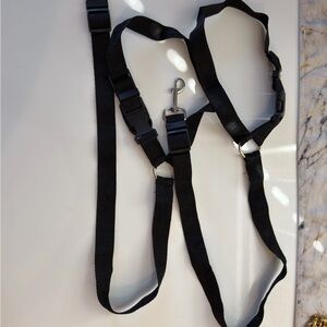 Dog headrest seat belt leash